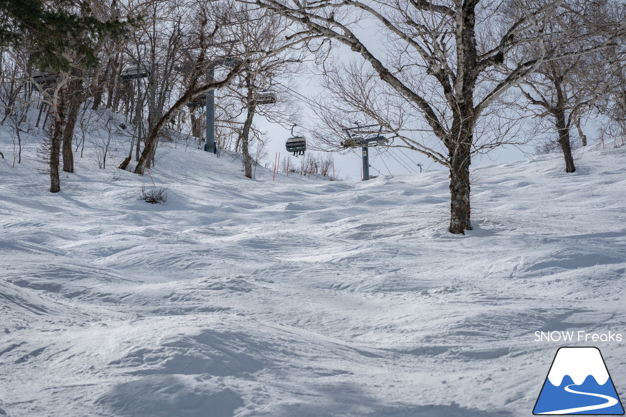 サッポロテイネ｜オリンピアゾーンは、3月31日で営業終了のはずですが…。まだまだ積雪たっぷりのゲレンデ。コンディション良好です！